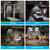 Solar Pendant Light Outdoor Indoor, 4 Heads Shed Light with Remote & Sensor