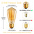 Sevici ST64 Edison Light Bulbs 40W E26 Dimmable Incandescent Bulbs 6 Pack