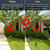 Solar Spot Lights Outdoor, Solar Lights for Yard, Solar Light for Flag