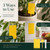 Qualirey 400 Pcs 6 x 8 in Yellow Sticky Traps for Gnats Plant Insect Trap