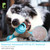 PETGEEK Interactive Dog Bone Toy, Dog Chase Toy for Medium Large Dogs