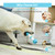 PETGEEK Interactive Dog Bone Toy, Dog Chase Toy for Medium Large Dogs