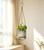 Josteve 4.5 Inch 2 Pcs Self Watering Hanging Planter Indoor Plant Pots Drainage Holes, Outdoor Small Hanging Planters Flower Pot Basket, Visible Water Level, Plant Hanger Home Decor, Gardening