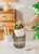 Josteve 4.5 Inch 2 Pcs Self Watering Hanging Planter Indoor Plant Pots Drainage Holes, Outdoor Small Hanging Planters Flower Pot Basket, Visible Water Level, Plant Hanger Home Decor, Gardening