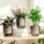 Josteve 4.5 Inch 2 Pcs Self Watering Hanging Planter Indoor Plant Pots Drainage Holes, Outdoor Small Hanging Planters Flower Pot Basket, Visible Water Level, Plant Hanger Home Decor, Gardening