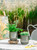 Josteve 4.5 Inch 2 Pcs Self Watering Hanging Planter Indoor Plant Pots Drainage Holes, Outdoor Small Hanging Planters Flower Pot Basket, Visible Water Level, Plant Hanger Home Decor, Gardening