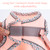 Petank Step in Dog Harness No Pull and Leash for Small Medium Dogs Cats.