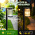 ELECLINK Solar Pathway Lights Outdoor, 6 Pack Upgraded Outdoor Solar Lights for Outside Super Bright Up to 12Hrs, IP65 Waterproof Solar Garden Lights for Yard Path Sidewalk Driveway Walkway Decor