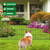 10 Pack Garden Fence Animal Barrier Fencing 1.44 inch Spacing Total 10.8ft (L) x 24in High Rustproof Metal Wire Yard Blocker Dog Fences Border for Outdoor Flower Bed Landscape Fencing Decor Black