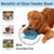 MateeyLife 2-Pack Slow Feeder Dog Bowls, 2 Cups, Dog Puzzle Feeder Bowl