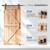 EaseLife 6 FT Sliding Barn Door Track and Handle Hardware Kit, Straight Pulley,Slide Smoothly Quietly,Easy Install (6FT Track Kit for 30"~36" Wide Single Door)