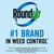 Roundup Weed & Grass Killer4 with Pump 'N Go 2 Sprayer, 1.33 gal.