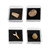Geoworld Nature Collection – Real Fossil Collection in Display Box for STEM Learning – Educational Geology Set for Kids, Classrooms, and Collectors (Set 2)