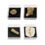 Geoworld Nature Collection – Real Fossil Collection in Display Box for STEM Learning – Educational Geology Set for Kids, Classrooms, and Collectors (Set 2)
