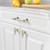 Amerdeco 10 Pack Brushed Satin Nickel and Gold Cabinet Pulls 3 Inch(76MM) Hole Centers Kitchen Cabinet Handles Cabinets Hardware Drawer Pulls ZH0058