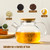 PARACITY Glass Teapot Stovetop 20 OZ/600ml, Borosilicate Clear Tea Kettle with Bamboo Lid, Glass Tea pot with Removable Filter Spout, Teapot Blooming and Loose Leaf Tea Maker Tea Brewer for Camping