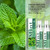PEGO Breath Spray, Oral Breath Freshener, Mint Flavor, Portable 2‑Pack