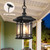 Dusk to Dawn Outdoor Pendant Lights for Porch,Easy Installation,Waterproof