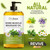 Arnica Sore Muscle Massage Oil – 100% Pure & Natural - Massage Therapy for Muscles & Joints – Body Oil Infused with Arnica Extract, Lavender Oil, Peppermint Oil & Chamomile Oil – 8 FL OZ