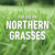 Roundup for Lawns₁ Ready-to-Use with Trigger Sprayer, Tough Weed Killer for Use on Northern Grasses, 1 gal.