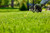 Roundup for Lawns₁ Ready-to-Use with Trigger Sprayer, Tough Weed Killer for Use on Northern Grasses, 1 gal.