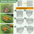 Plant Protectors from Animals, 3 Pack 13.5" Dia x 14" H Plant Protector from Animals, 9pcs Pre-Bent Metal Mesh to Keep Animals Out with Zip Ties & Stakes (3 Packs)