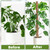 Supoice Moss Pole 63 Inch Bendable Monstera Plant Support for Climbing Plants Indoor Coir Plant Pole Sticks, Brown
