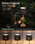KDG Gold Cordless LED Table Lamps Set of 2, Black Fabric Shade Desk Lamps