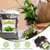 Doter Organic Peace Lily Soil Mix 2qt, Indoor Plants Potting Mix for Planting, Growing, or Repotting Peace Lily Plants, Grow Healthy houseplants Indoors