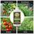 Urban Garden Outfitters Mission Fertilizer Grow 3-1-2 Organic Liquid Plant Fertilizer-All-Purpose, Fish-Based Nutrient Boost for Healthy Growth, Indoor & Outdoor Plants, 8 oz Starter Size