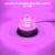 PKINGLAKE Purple Rooftop Beacon Strobe Lights w/Magnetic Base, 1-Pcs