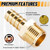 Ailbiuko 22Pcs Brass Hose Barb Fittings Male Pipe Adapter Kit with Clamps