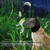 Field Guard for Dogs Outdoor Hiking Camping Foxtail Mask for Dogs (Large)