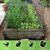 Junkogo Bird Netting 25x100 Ft, 1 in Mesh Heavy Duty Garden Netting