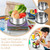 Skybooly 6 Pcs Stainless Steel Bento Box Bulk, 6 Sizes