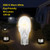 12Pcs 12 Volt 7 Watt T5 Landscape Light Bulbs for Malibu,RV, Lamp