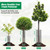UQM 12 Pack Tree Trunk Protector, 24 Pcs Metal Tree Guards Trunk Protector