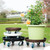 RIAMTGCX Rolling Plant Caddy Dolly with Wheels, 16" Heavy Duty Plant Stand on Casters for Planters, Wheeled Plant Roller Base for Indoor Outdoor Flower Pot, Silver, 1 Pack