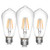 LED Edison Bulb,Antique 40W Vintage Bulb,E26 Non Dimmable Led Bulb 450 Lumens 2700K, Warm White, Pack of 3