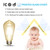 LED Edison Bulb,Antique 40W Vintage Bulb,E26 Non Dimmable Led Bulb 450 Lumens 2700K, Warm White, Pack of 3