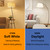 12Packs ST64 Large Vintage LED Edison Bulbs, 60W Equivalent 7W, 800Lumens, Dimmable Antique LED Filament, 2700K Warm White, E26 Medium Base Light Bulbs High Brightness Clear Glass for Bedroom Office