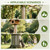 78.7" Squirrel Baffle for Tree Trunk Guard Wrap with 6 Adhesive Tapes