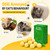 36 Pack Cat and Dog Deterrent Outdoor, Cat Repellent Outdoor, Natural Peppermint Oil Cat Deterrent Outdoor & Indoor, Keep Cats Out of Yard Permanently, Keep Cats Off Lawn, Garden, Furniture, Flower