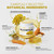 InsurMedic Helichrysum Essential Oil Balm