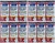 (12 pack) Nasal Relief Spray, 12 hour Pump Mist (Oxymetazoline HCL) 0.5 fl oz