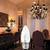 60W Incandescent Torpedo Tip Chandelier - 60W Equivalent Medium E26 Candelabra, TipIncandescent Clear Dimmable Light Bulbs and Medium E26 Base,Transparent Candle Light Bulbs for Chandeliers (12)