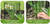 6 Pack Plant Protector from Animals, 12'' Dia x 12'' H Metal Plant Cages to Keep Animals Out, Garden Protection from Rabbits Chickens Ducks, Bunny Barricades for Garden Flowers Vegetables (Small)