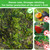 5.3 x 5.3 Ft Black Large Fruit Tree Netting with Zipper and Drawstring, Breathable Mesh Garden Bird Netting Plant Cover, Insect Bird Barrier Net Mesh for Protect Fruits Plants from Squirrel Bugs