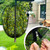 5.3 x 5.3 Ft Black Large Fruit Tree Netting with Zipper and Drawstring, Breathable Mesh Garden Bird Netting Plant Cover, Insect Bird Barrier Net Mesh for Protect Fruits Plants from Squirrel Bugs