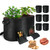 8 Pcs 15 Gallon Potato Grow Bags with Harvest & Visible Windows, Thickened Nonwoven Fabric Potato Planter,Potato Growing Containers with Sturdy Handles, Potato Bags for Growing Potatoes Vegetables